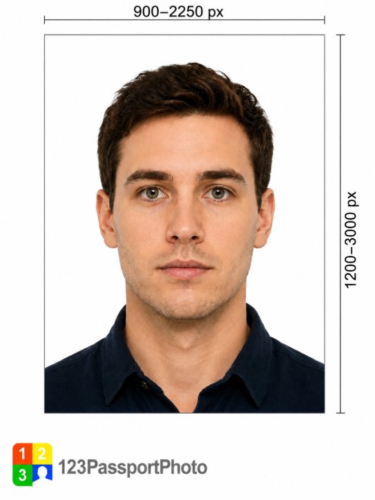 New Zealand Visa (online applications) photo